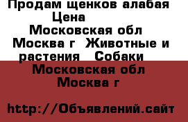 Продам щенков алабая › Цена ­ 7 500 - Московская обл., Москва г. Животные и растения » Собаки   . Московская обл.,Москва г.